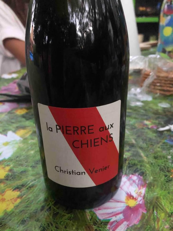 La Pierre aux Chiens - Christian Venier - Christian Venier 