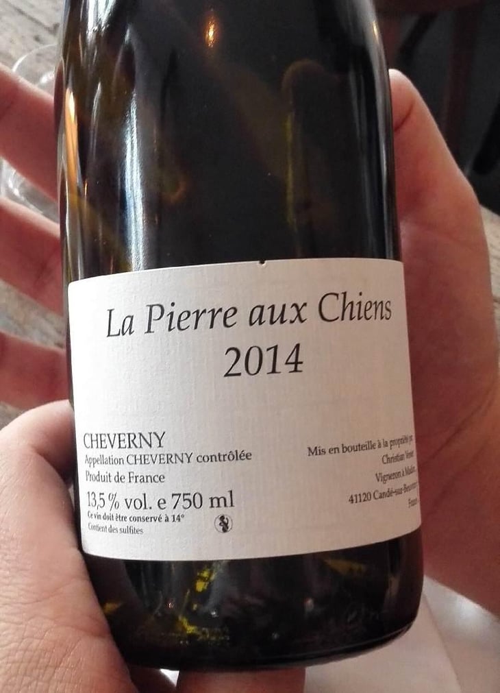 La Pierre aux Chiens - Christian Venier - Christian Venier 
