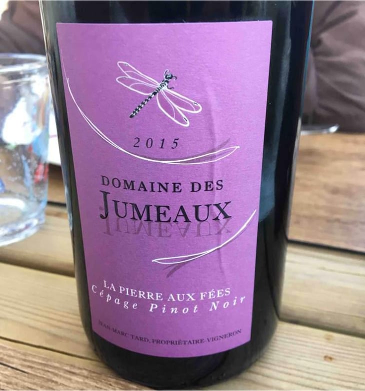 La Pierre aux Fées - Domaine des Jumeaux - Maryline & Jean-Marc Tard 