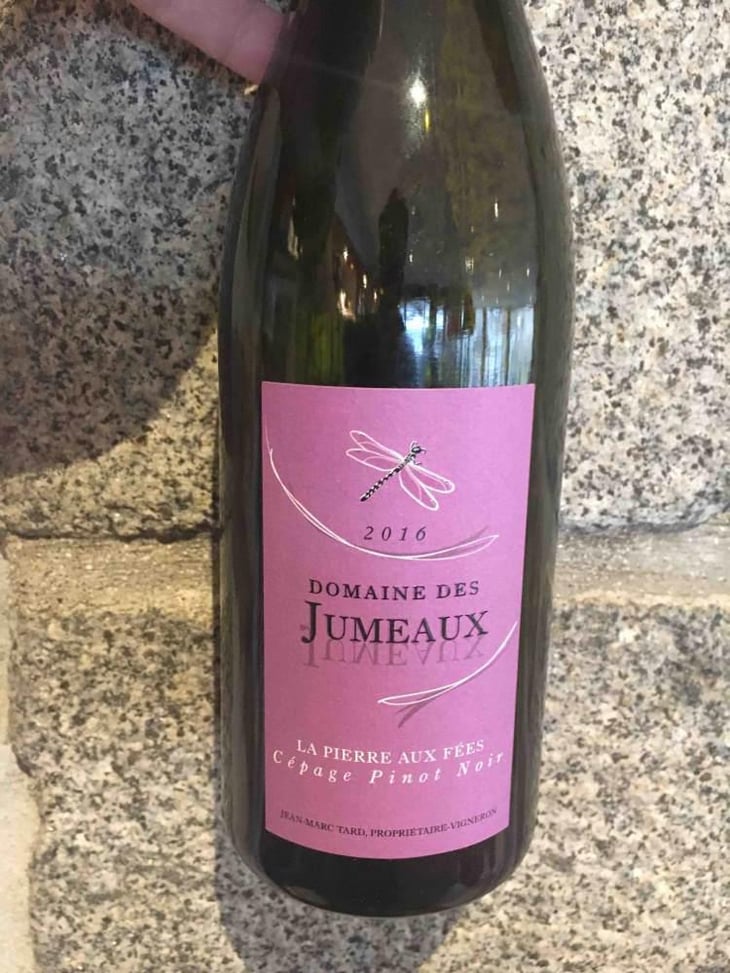 La Pierre aux Fées - Domaine des Jumeaux - Maryline & Jean-Marc Tard 