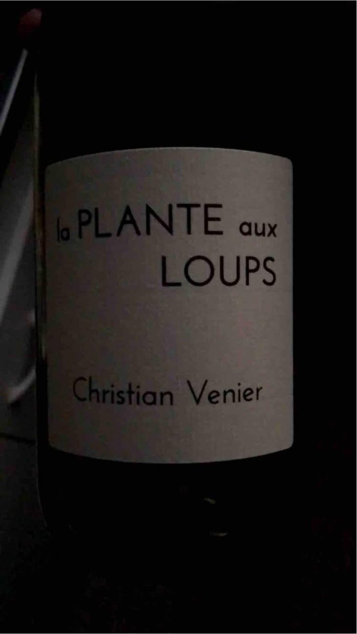 La Plante Aux Loups - Christian Venier - Christian Venier 