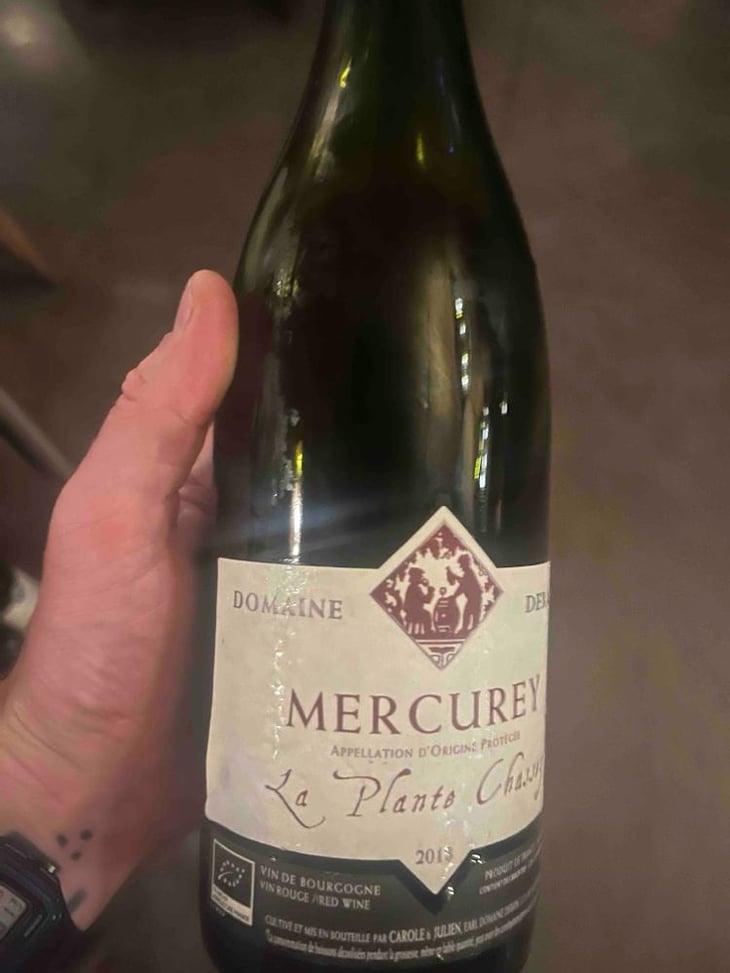 La Plante Chassey - Domaine Derain - Julien Altaber & Carole Shwab, Domique Derain 