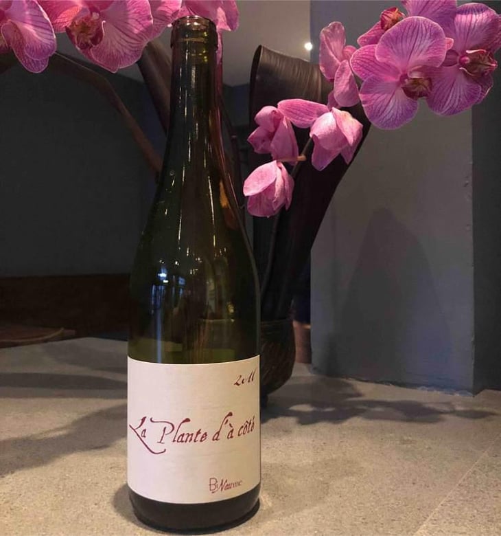 La Plante d'à Côté - Domaine Henri Naudin-Ferrand - Claire Naudin 