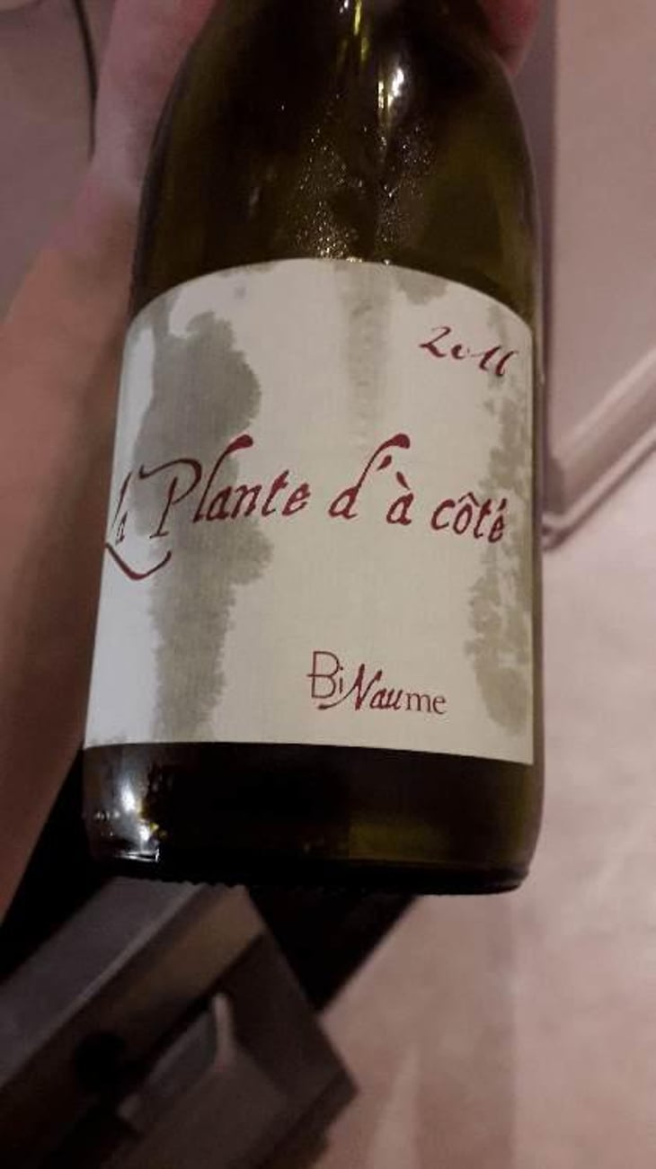 La Plante d'à Côté - Domaine Henri Naudin-Ferrand - Claire Naudin 