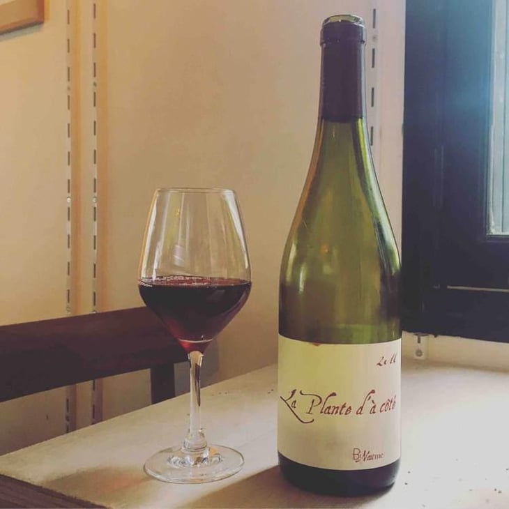 La Plante d'à Côté - Domaine Henri Naudin-Ferrand - Claire Naudin 
