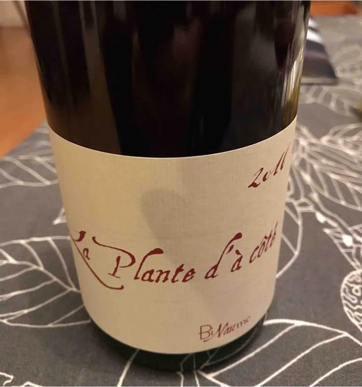 La Plante d'à Côté - Domaine Henri Naudin-Ferrand - Claire Naudin 
