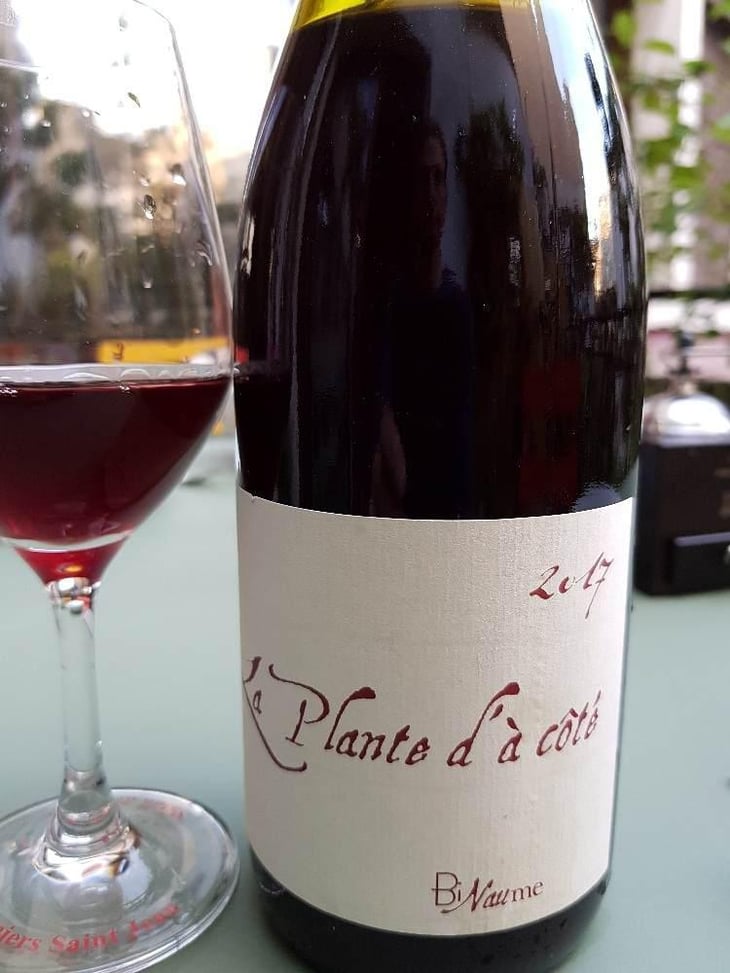 La Plante d'à Côté - Domaine Henri Naudin-Ferrand - Claire Naudin 