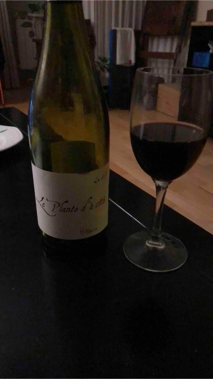 La Plante d'à Côté - Domaine Henri Naudin-Ferrand - Claire Naudin 