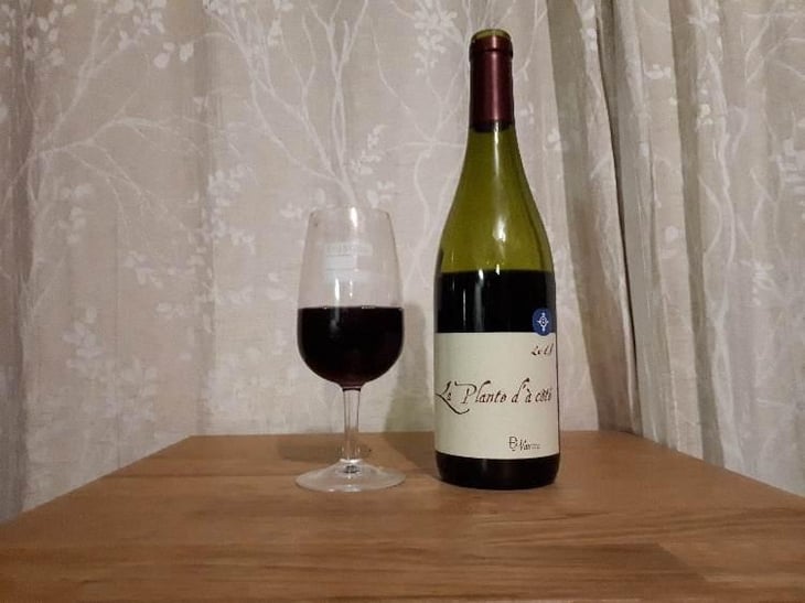 La Plante d'à Côté - Domaine Henri Naudin-Ferrand - Claire Naudin 