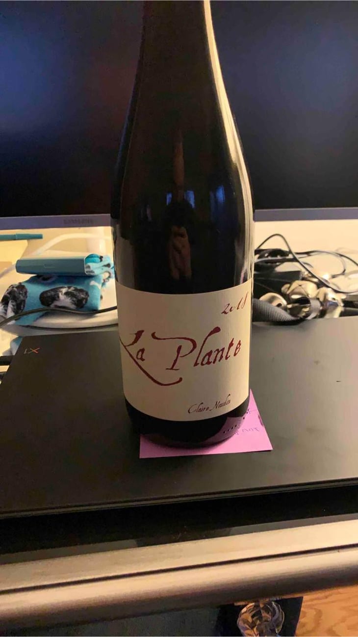 La Plante d'à Côté - Domaine Henri Naudin-Ferrand - Claire Naudin 
