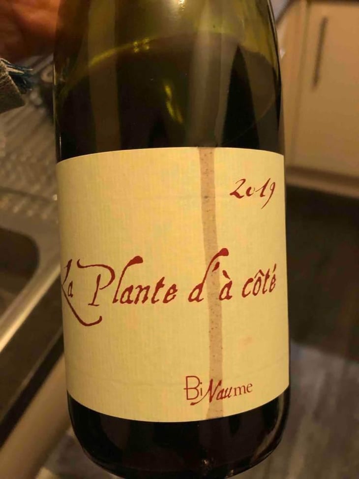 La Plante d'à Côté - Domaine Henri Naudin-Ferrand - Claire Naudin 