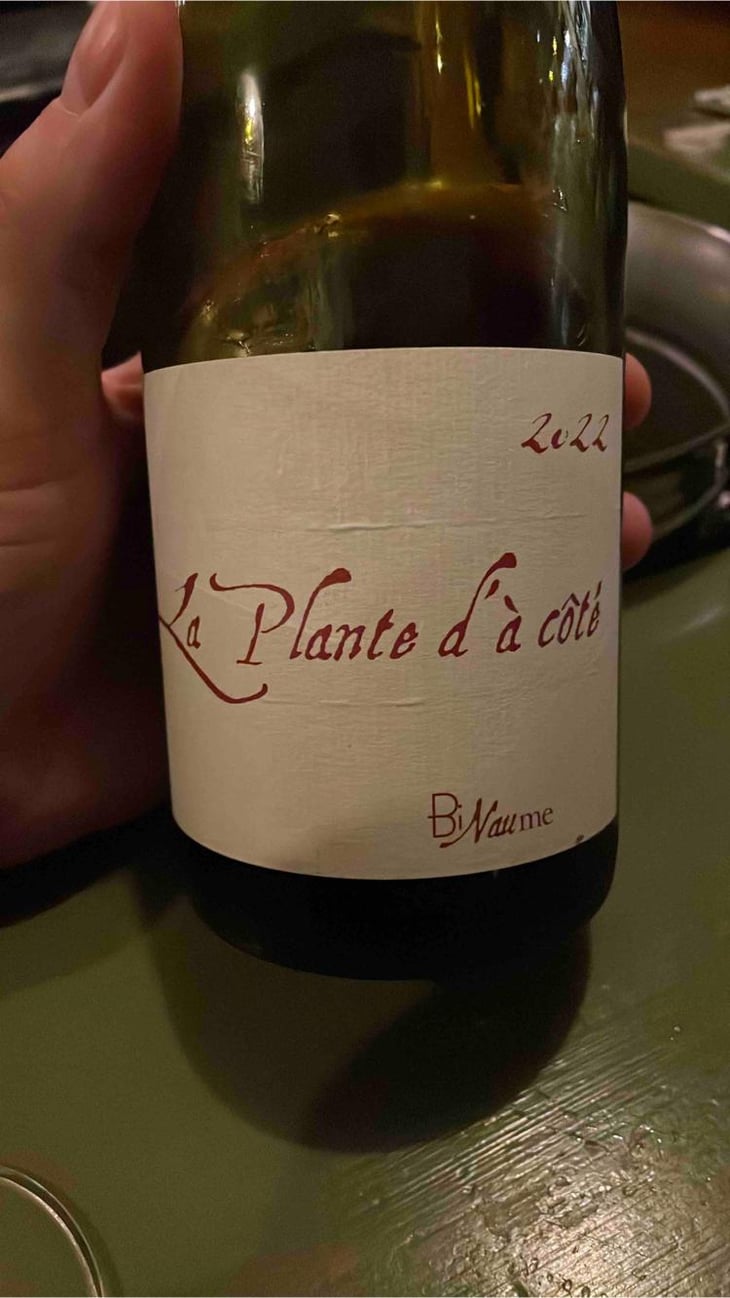 La Plante d'à Côté - Domaine Henri Naudin-Ferrand - Claire Naudin 