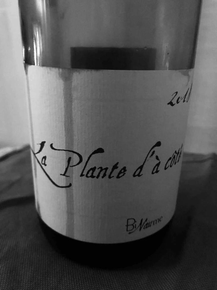 La Plante - Domaine Henri Naudin-Ferrand - Claire Naudin 