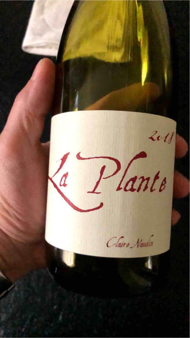 La Plante - Domaine Henri Naudin-Ferrand - Claire Naudin 
