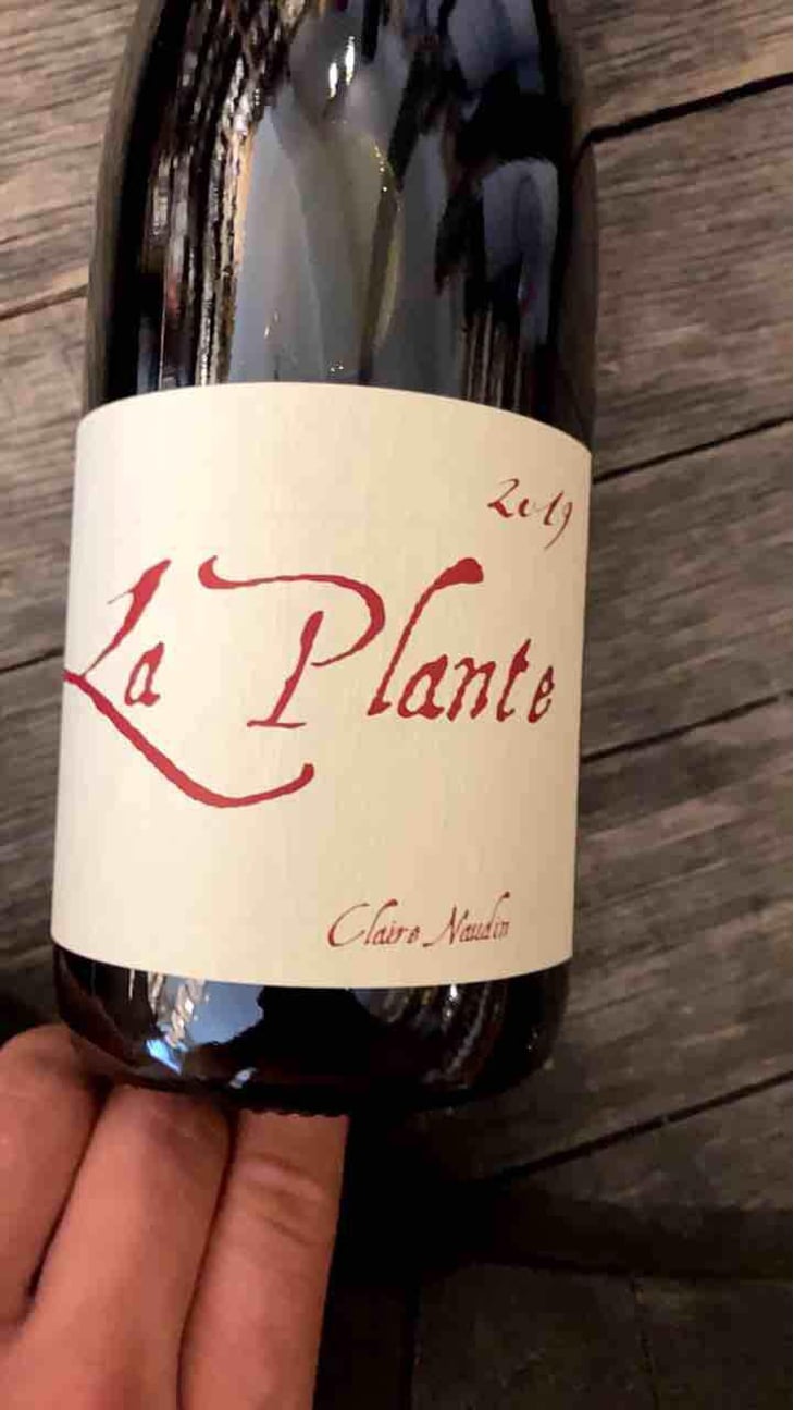 La Plante - Domaine Henri Naudin-Ferrand - Claire Naudin 
