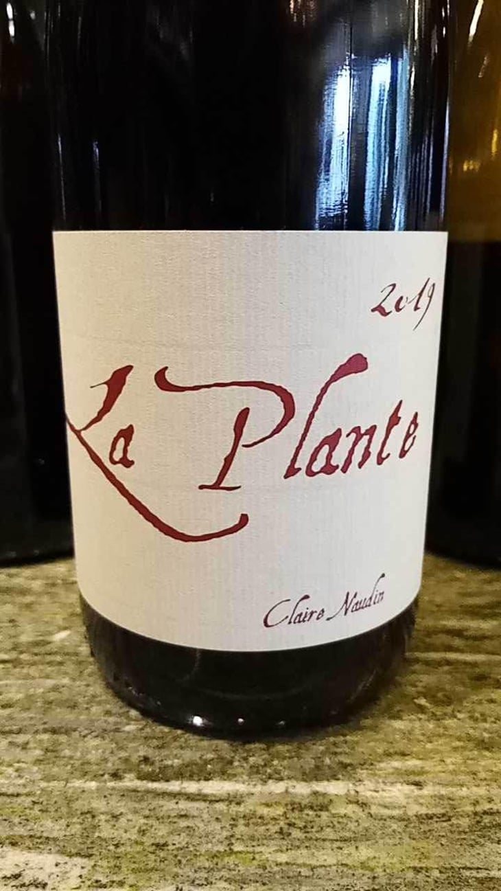 La Plante - Domaine Henri Naudin-Ferrand - Claire Naudin 
