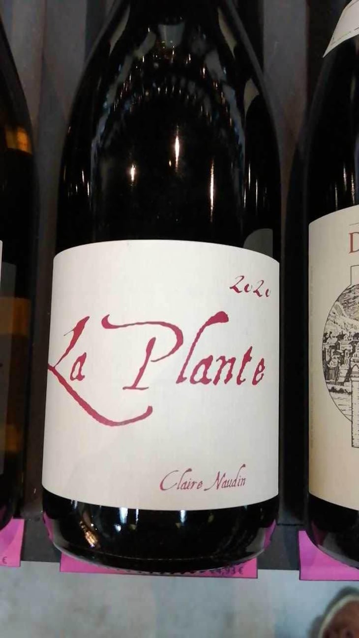 La Plante - Domaine Henri Naudin-Ferrand - Claire Naudin 