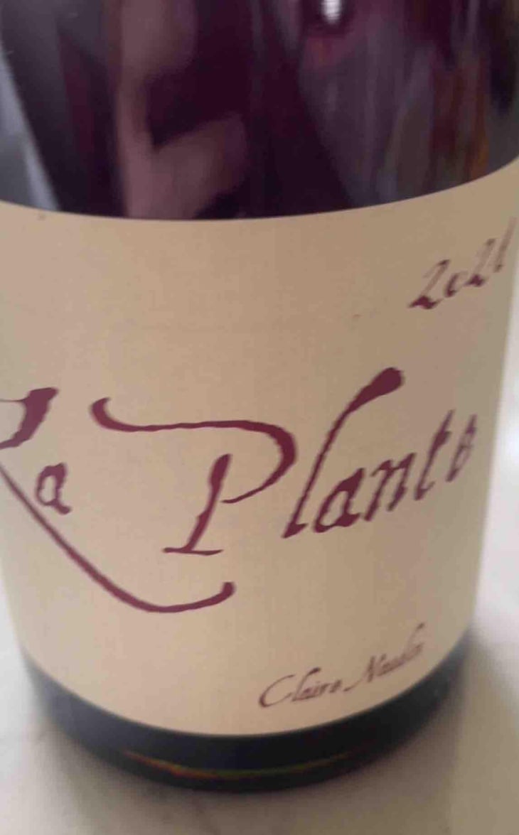 La Plante - Domaine Henri Naudin-Ferrand - Claire Naudin 