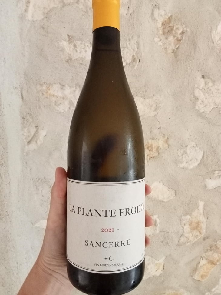 La Plante Froide Sancerre - Domaine Du Nozay - Cyril de Benoist 