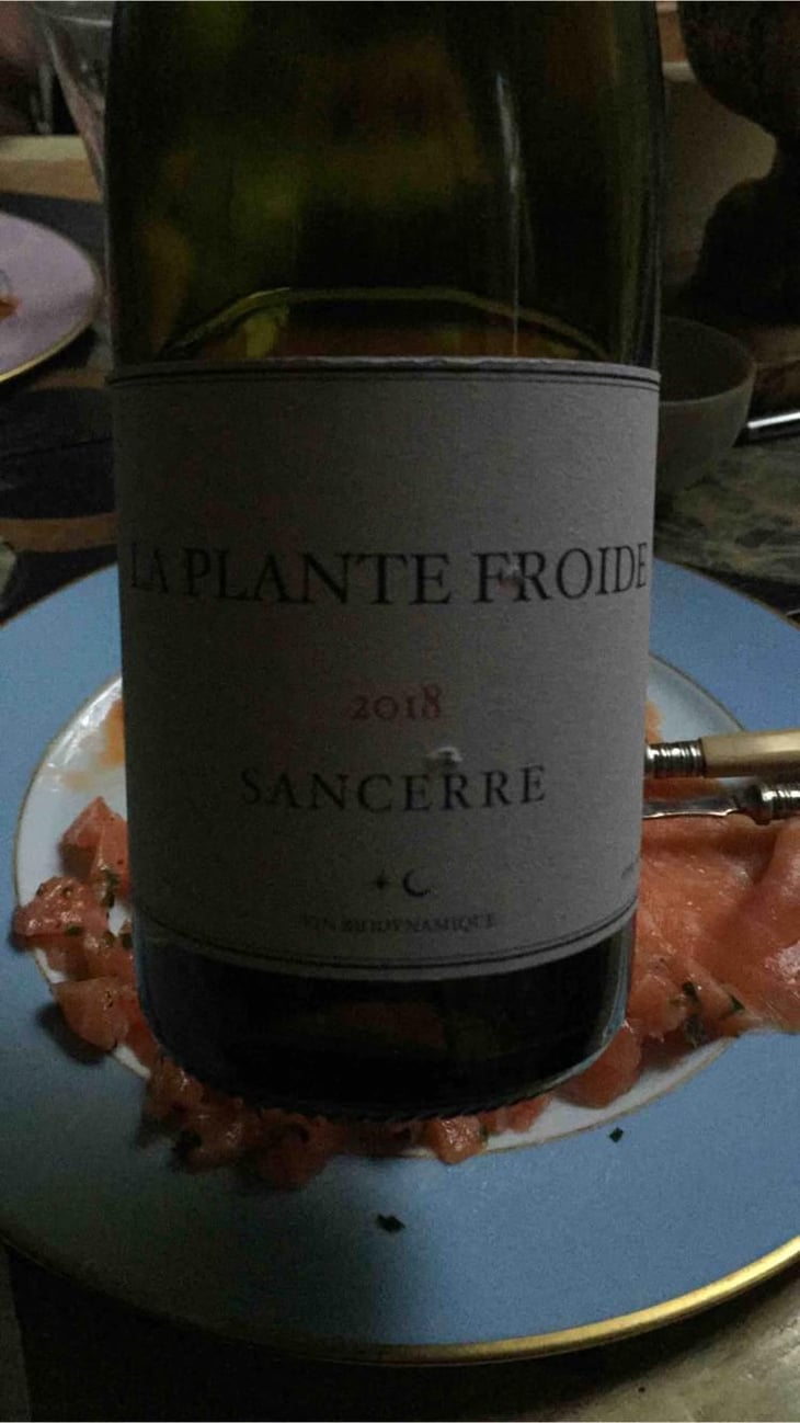 La Plante Froide Sancerre - Domaine Du Nozay - Cyril de Benoist 