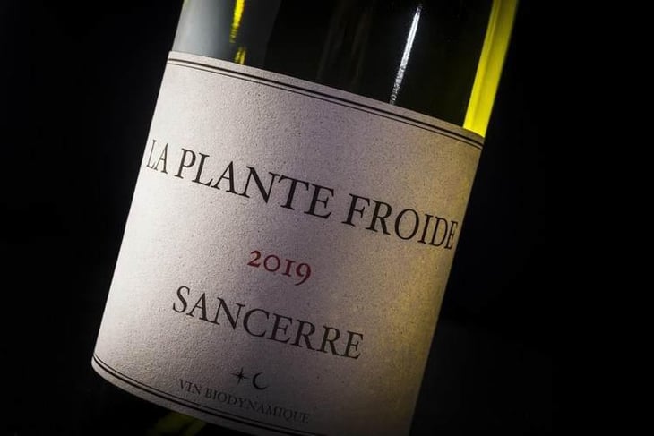 La Plante Froide Sancerre - Domaine Du Nozay - Cyril de Benoist 