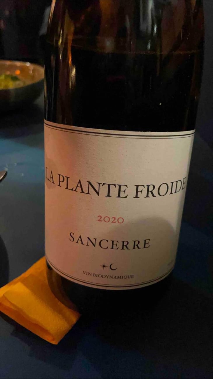 La Plante Froide Sancerre - Domaine Du Nozay - Cyril de Benoist 
