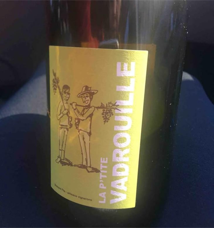 La P'tite Vadrouille (rouge) - Domaine du Mortier - Fabien & Cyril Boisard 