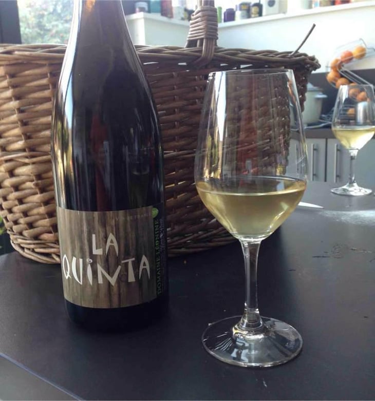 La Quinta - Domaine Léonine - Jordan Le Guyader 