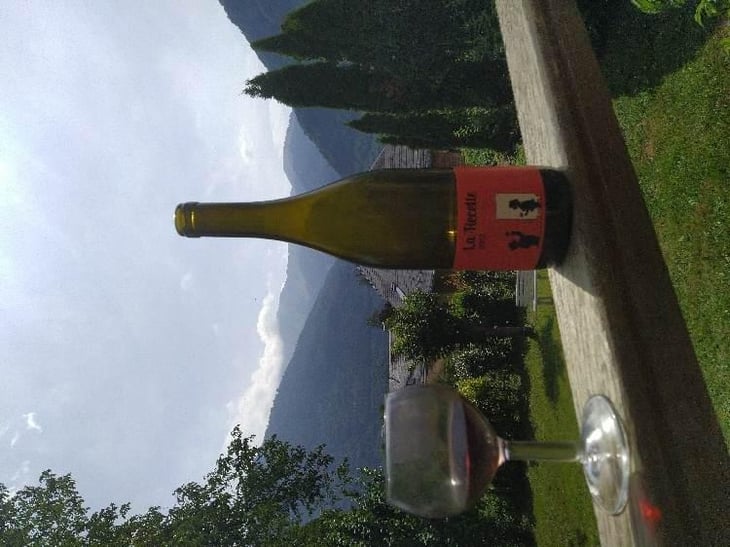 La Recette - Domaine Thuronis - Vigneron Bien Fêteur - Alexandre Coulange & Astrid Lerouxel 