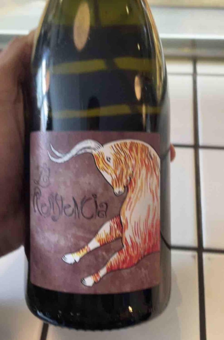 La Resistencia - MicroBioWines - Ismael Gozalo 