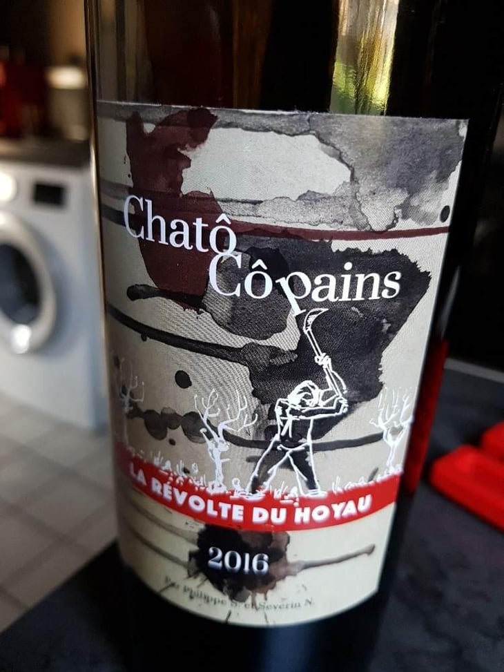 La Révolte du Noyau - Chatô Copains - Philippe S. et Severin N. 