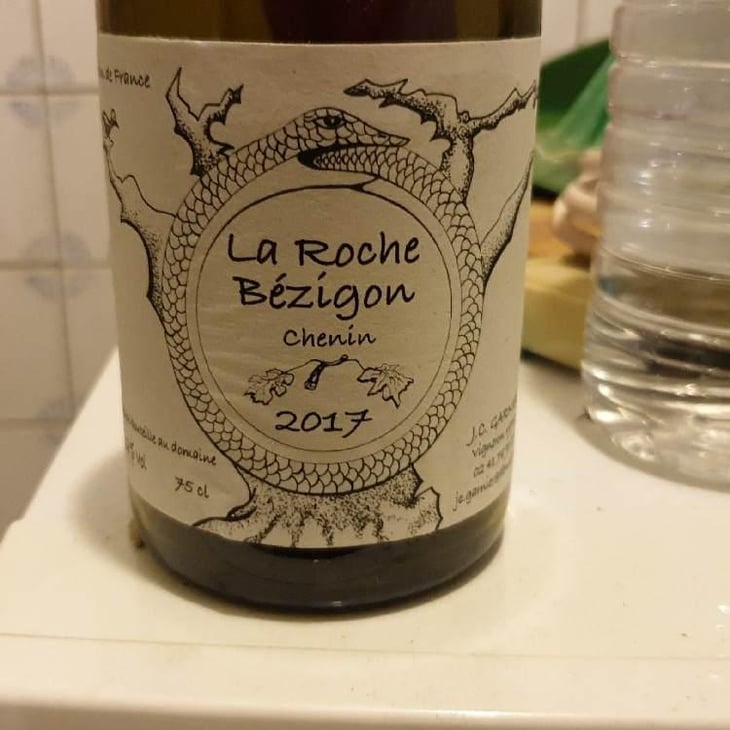 La Roche Bezigon - Jean-Christophe Garnier - Jean-Christophe Garnier 