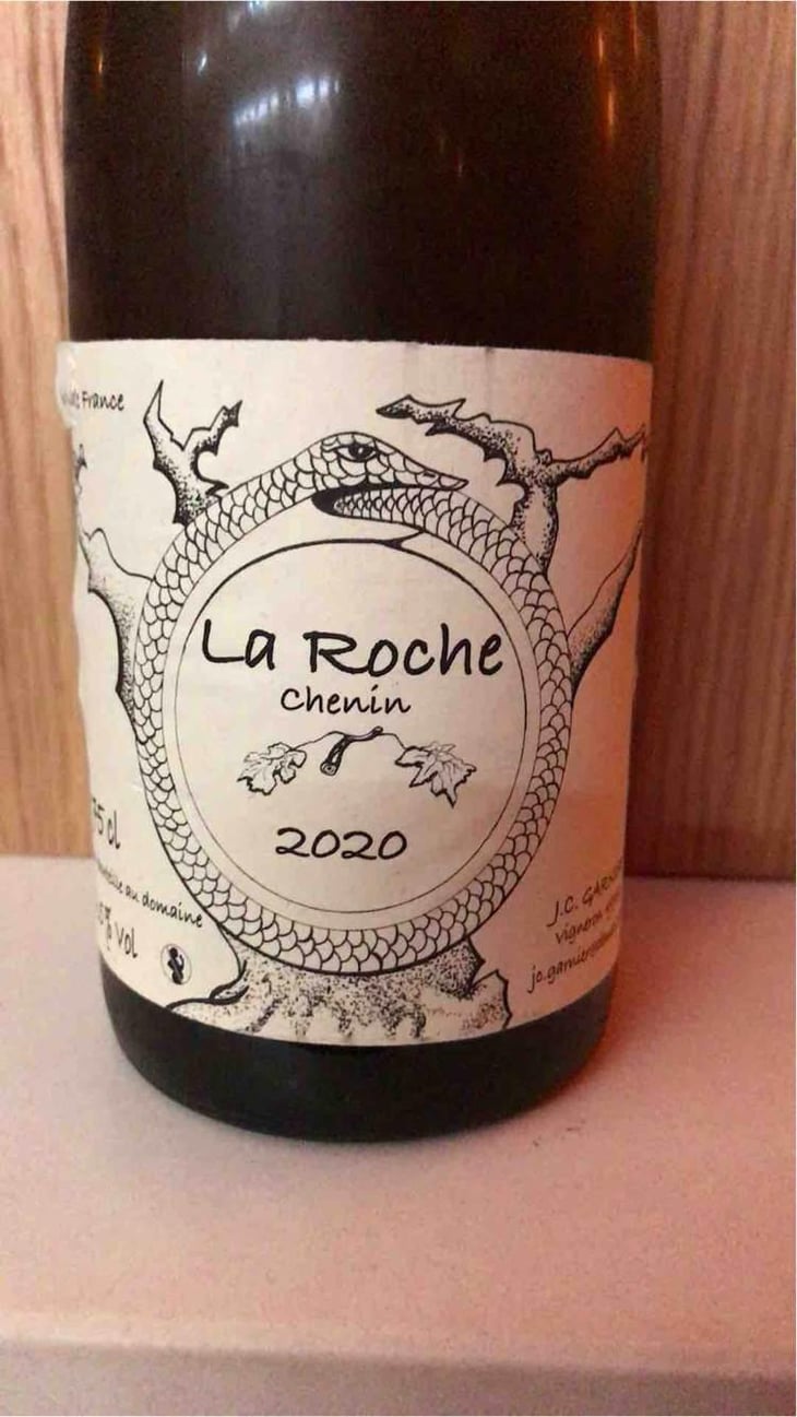 La Roche Bezigon - Jean-Christophe Garnier - Jean-Christophe Garnier 