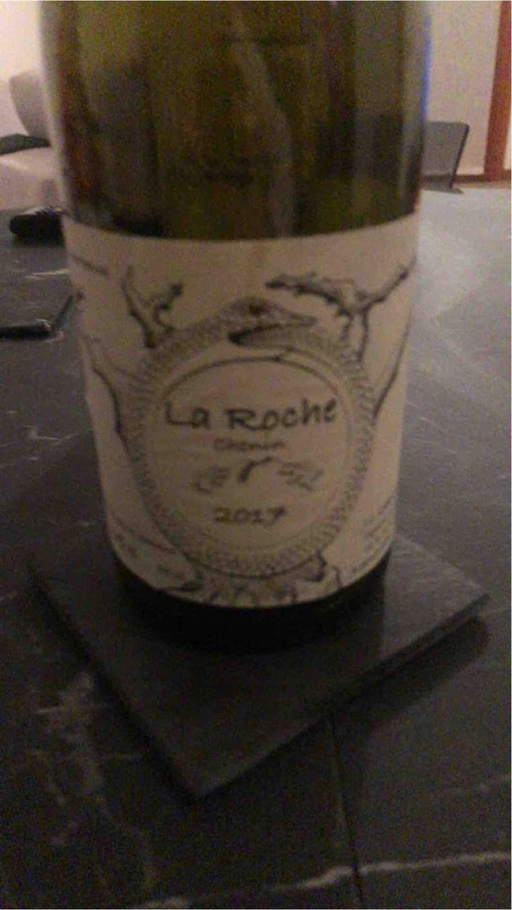 La Roche - Jean-Christophe Garnier - Jean-Christophe Garnier 