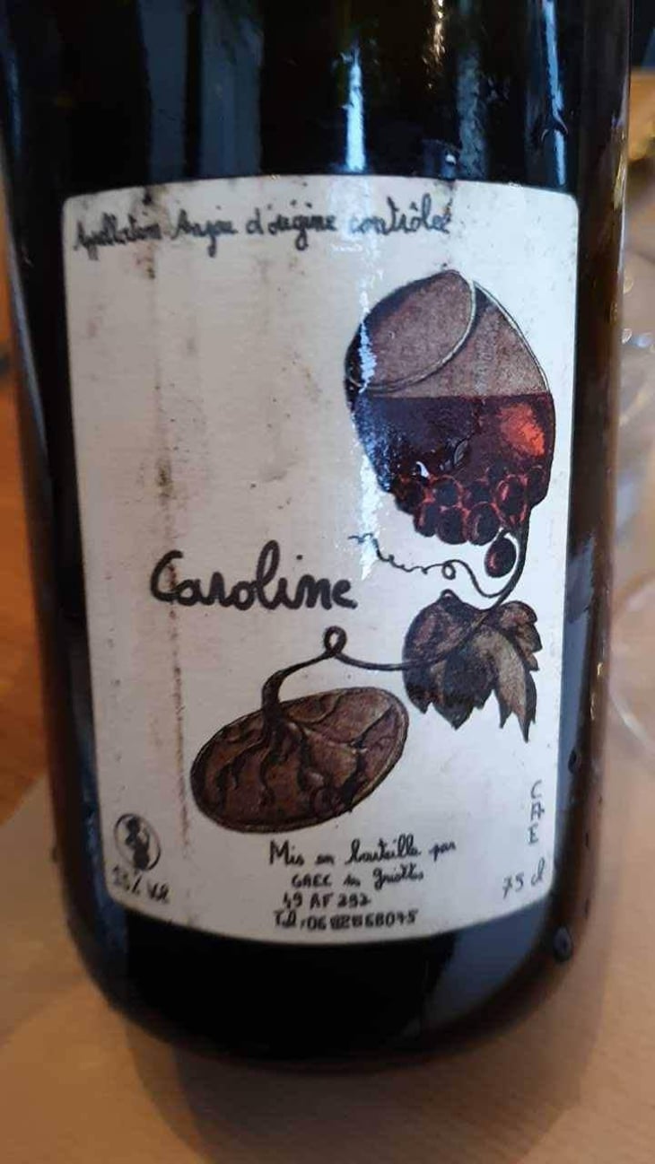 La Roche - Domaine des Griottes - Patrick Desplats 