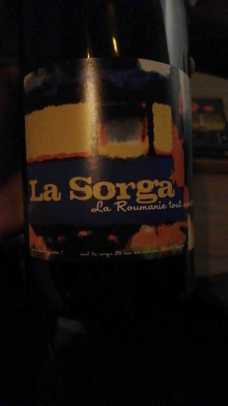 La Roumanie Tout Court - La Sorga - Antony Tortul 