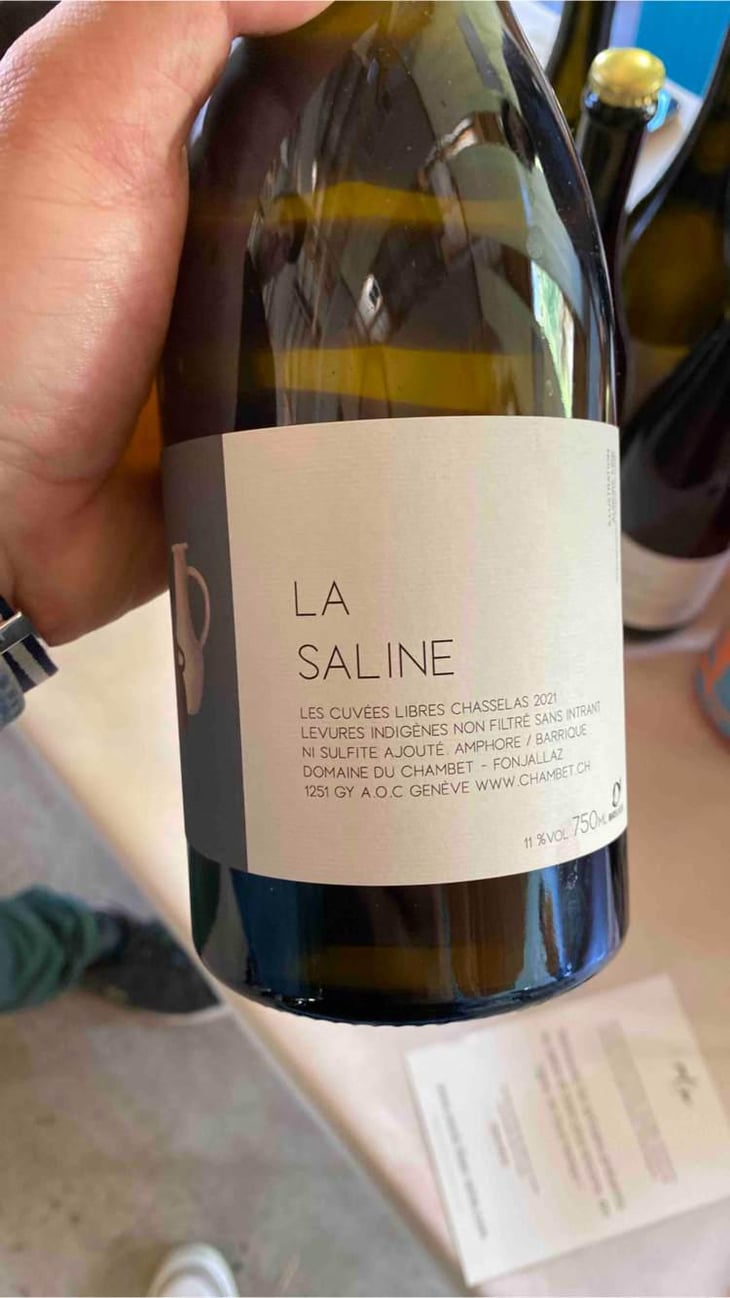 La Saline - Domaine du Chambet - Anthony Fonjallaz 