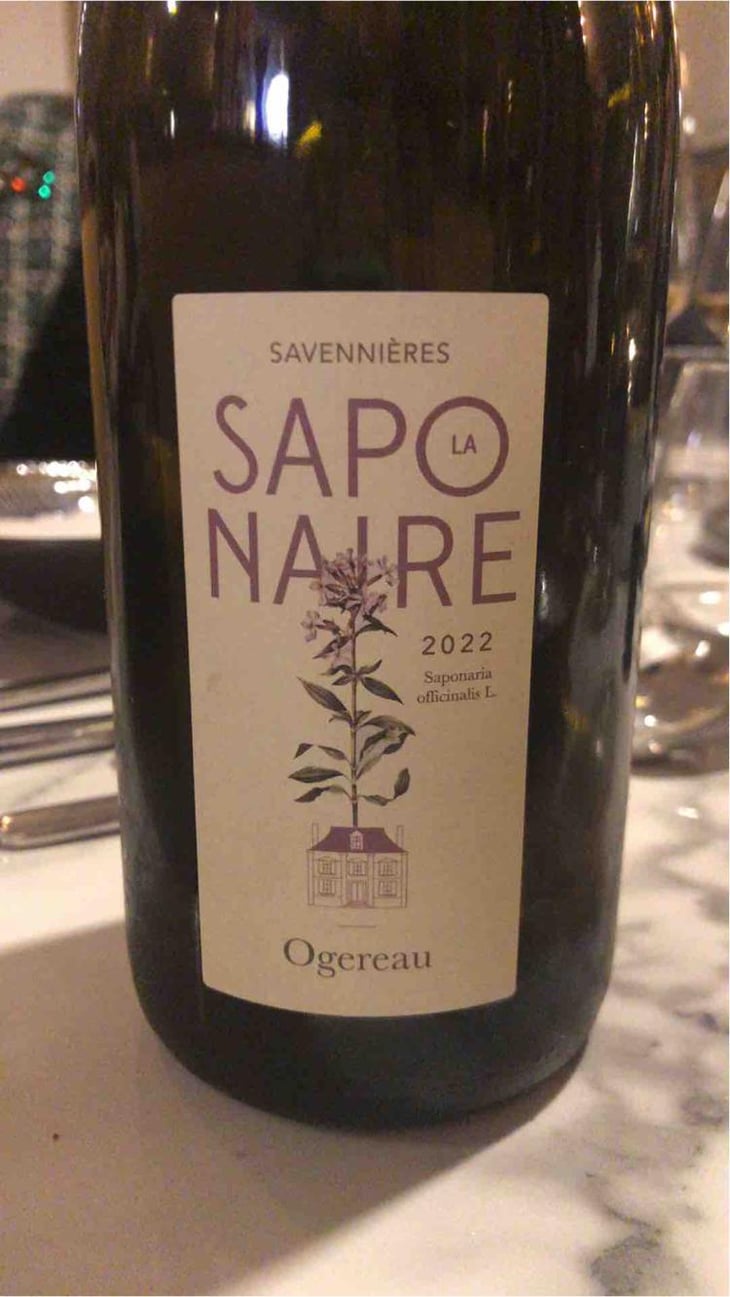 La Saponaire - Domaine Ogereau - Vincent & Emmanuel Ogereau 