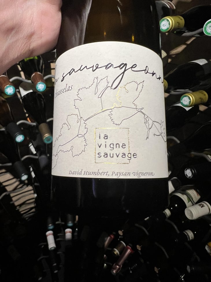 La Sauvageonne - La Vigne Sauvage - David Humbert 