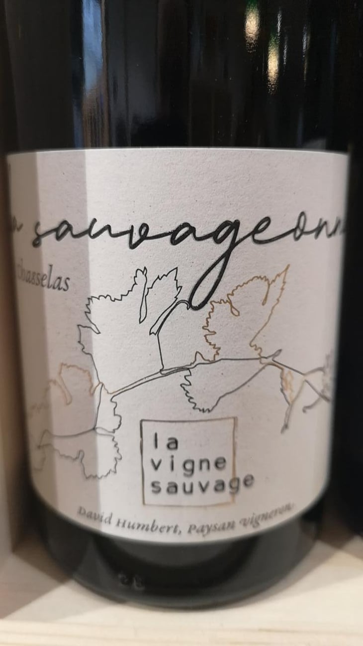 La Sauvageonne - La Vigne Sauvage - David Humbert 