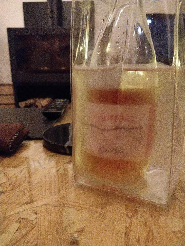 La Sureda - Celler La Gutina - Barbara Magugliani & Joan Carles Torres 