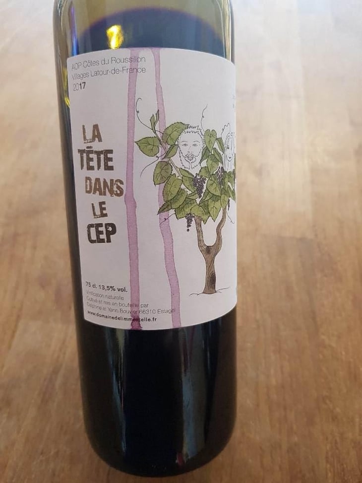 La Tête Dans Le Cep - Domaine De L'immortelle - Delphine & Yann Bouvier 