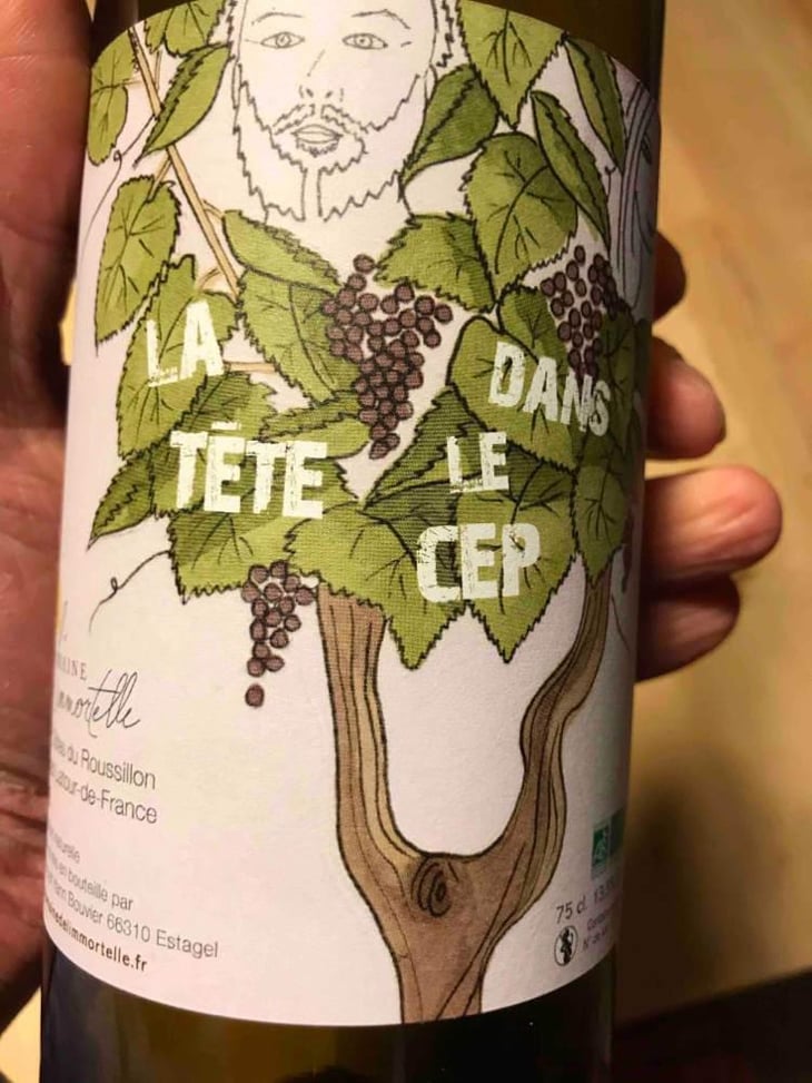 La Tête Dans Le Cep - Domaine De L'immortelle - Delphine & Yann Bouvier 