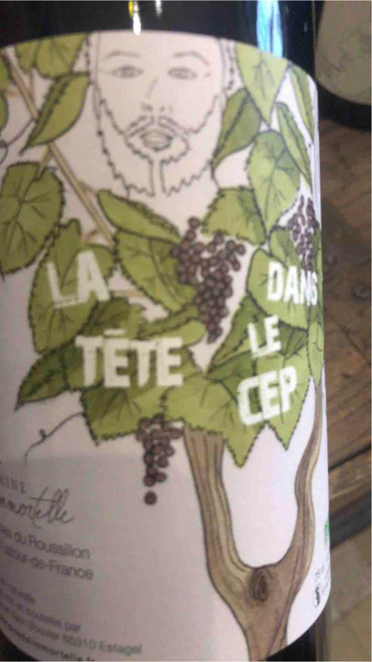 La Tête Dans Le Cep - Domaine De L'immortelle - Delphine & Yann Bouvier 