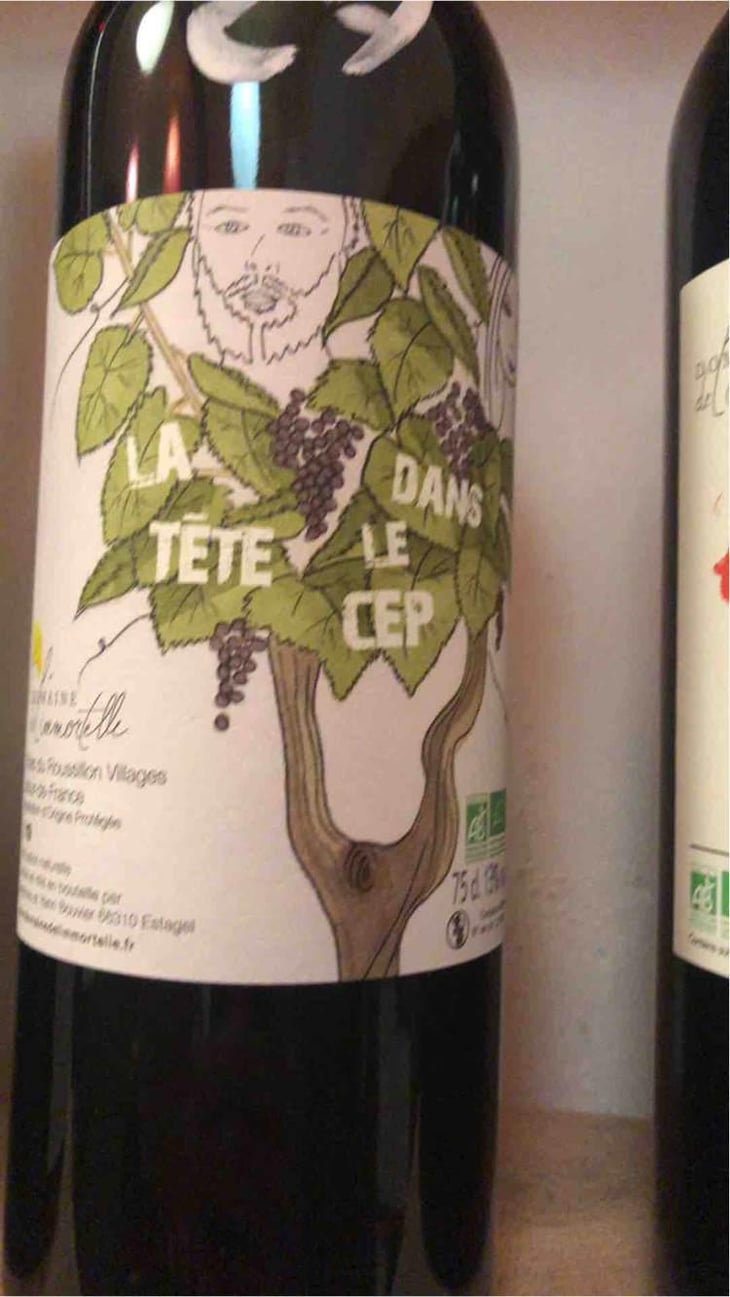 La Tête Dans Le Cep - Domaine De L'immortelle - Delphine & Yann Bouvier 
