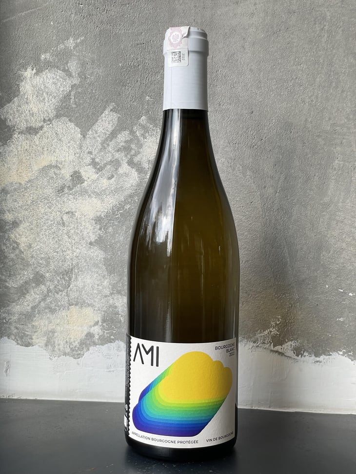La Tête dans les Nuages Bourgogne Blanc - Domaine Ami - Paul Marchand-Perarnau & Willy Roulendes 