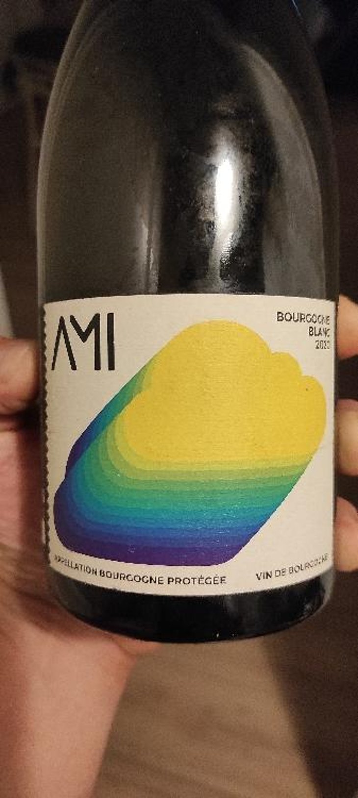 La Tête dans les Nuages Bourgogne Blanc - Domaine Ami - Paul Marchand-Perarnau & Willy Roulendes 