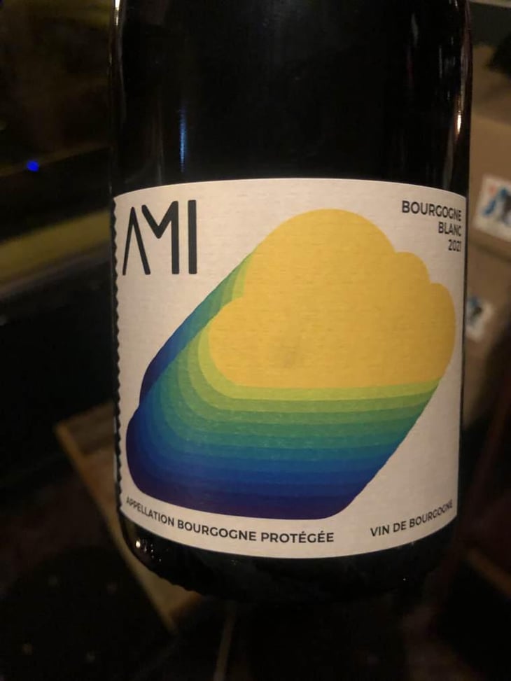 La Tête dans les Nuages Bourgogne Blanc - Domaine Ami - Paul Marchand-Perarnau & Willy Roulendes 