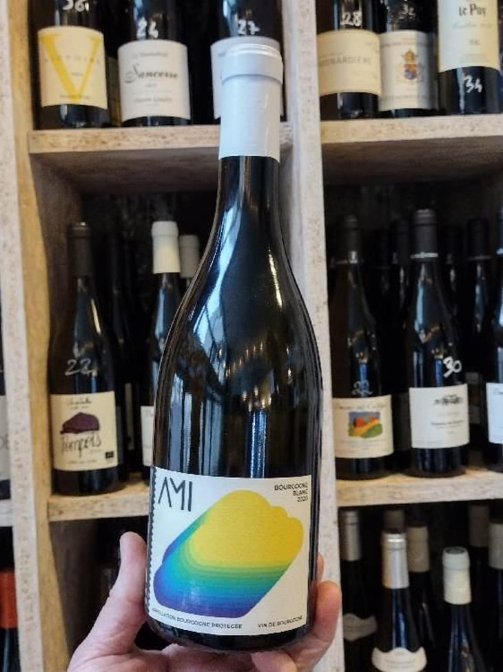 La Tête dans les Nuages Bourgogne Blanc - Domaine Ami - Paul Marchand-Perarnau & Willy Roulendes 