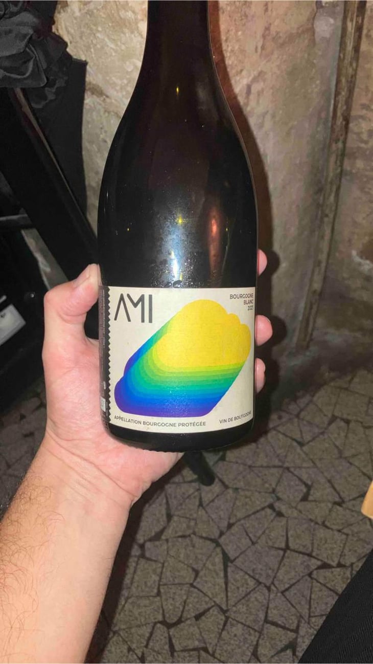 La Tête dans les Nuages Bourgogne Blanc - Domaine Ami - Paul Marchand-Perarnau & Willy Roulendes 